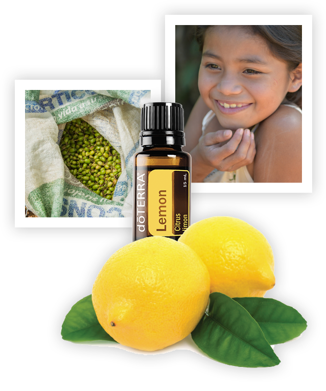 dōTERRA Lemon Oil