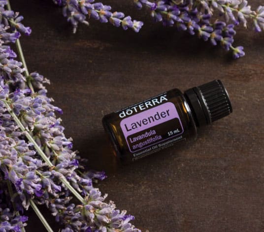 Lavender Oil